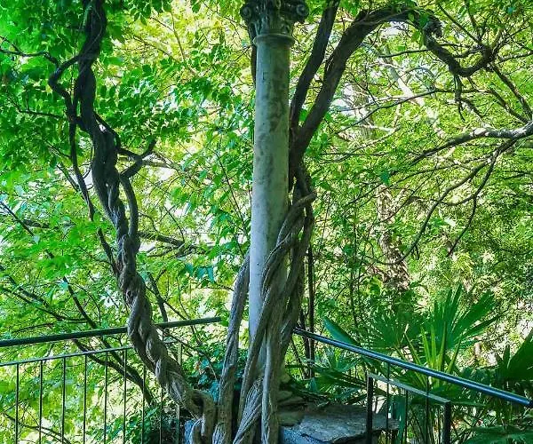 Gina Appartement Varenna